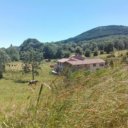 Le Moulin De La Fortie, Maison D'Hotes Viscomtat Eksteriør billede