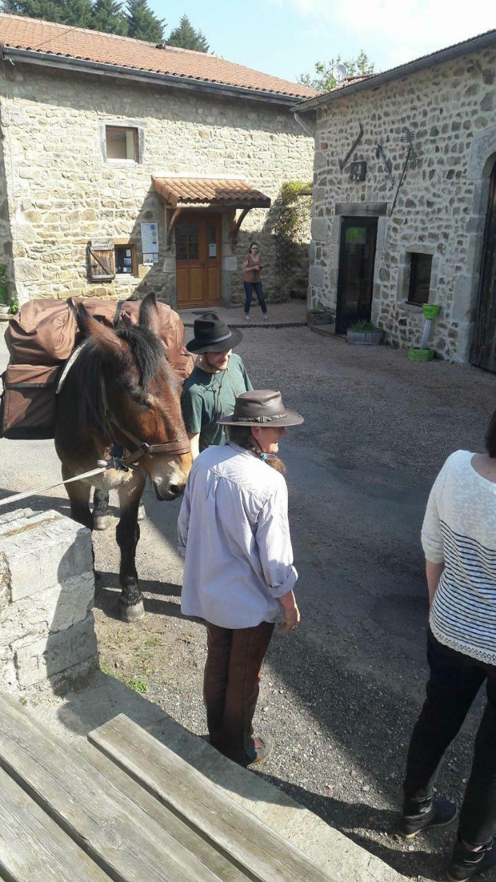 Le Moulin De La Fortie, Maison D'Hotes Viscomtat Eksteriør billede